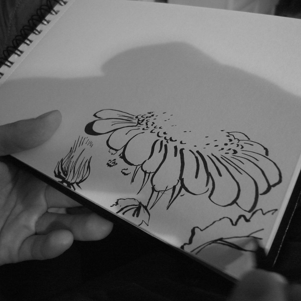Drawing a Card