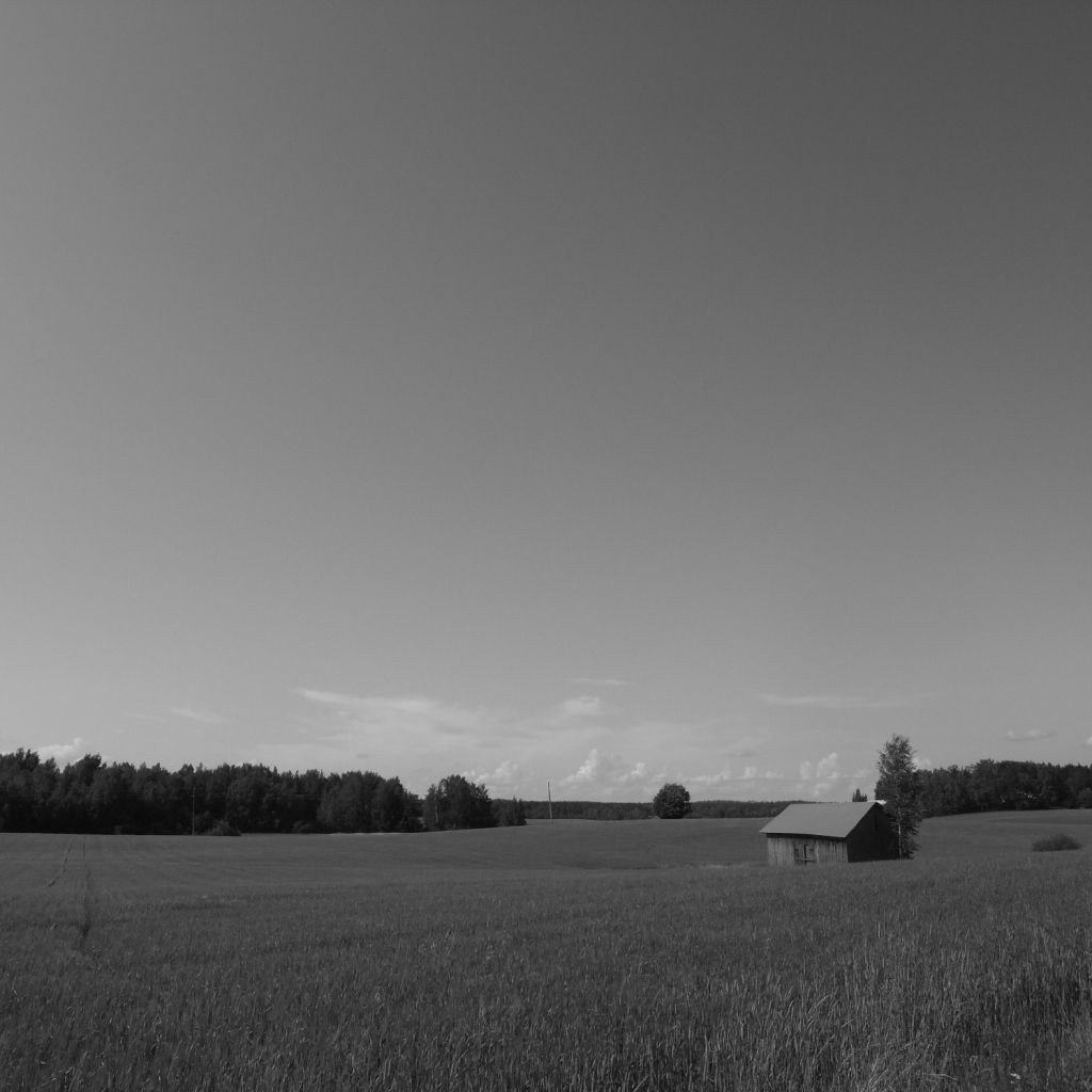 Fields