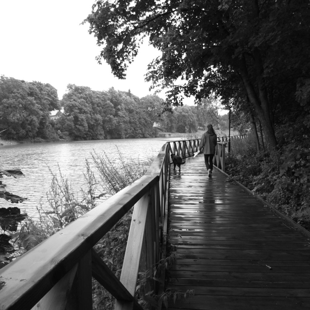 Aura River in Turku