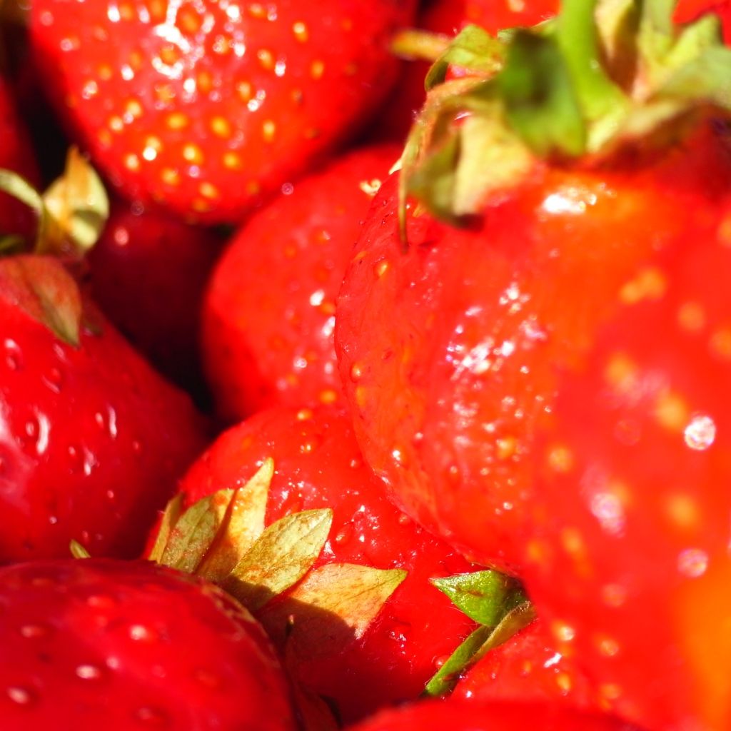 Strawberries