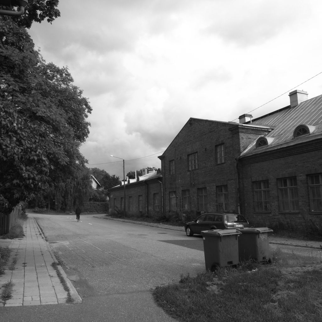 Raunistula