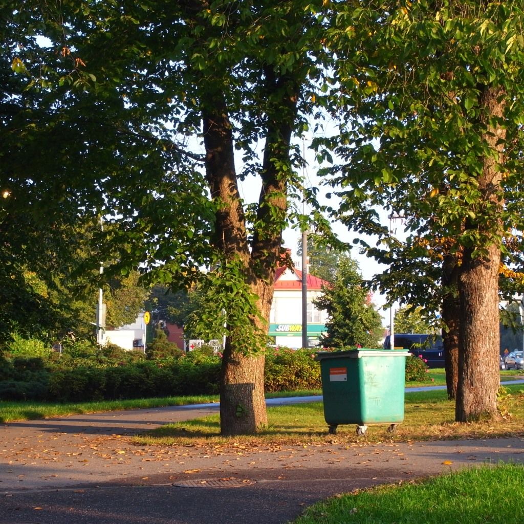 Autumn Colors