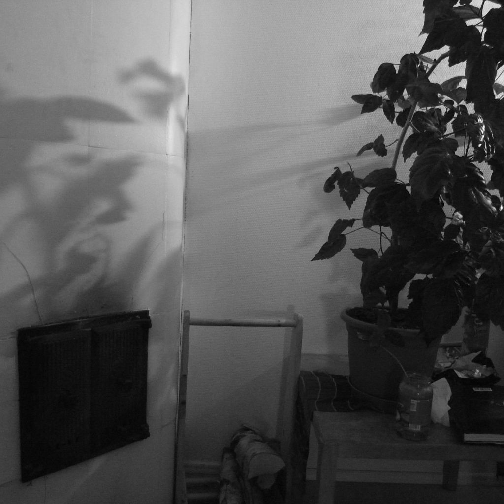 Shadow