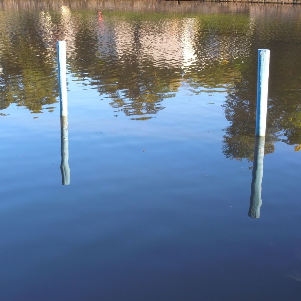 No Boats