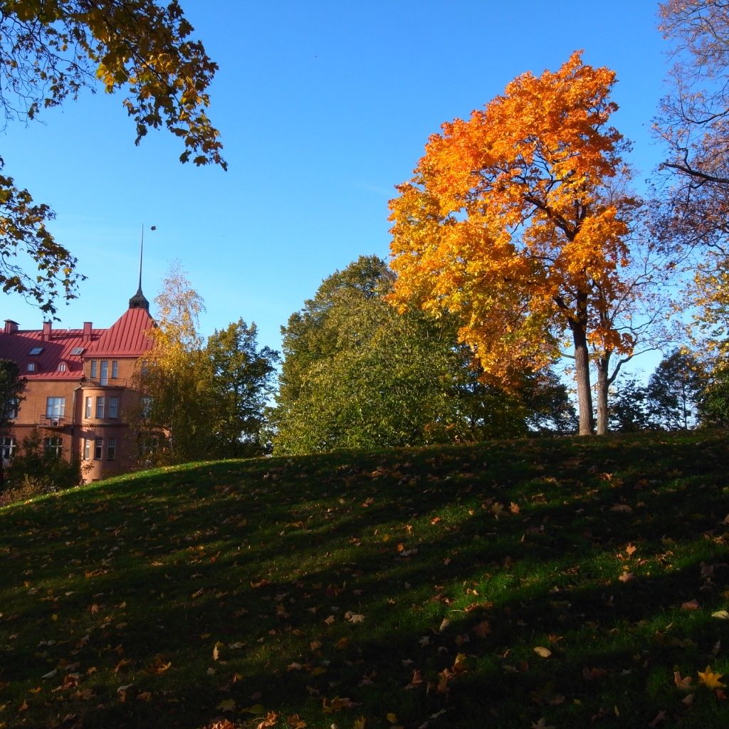 Puolalan puisto