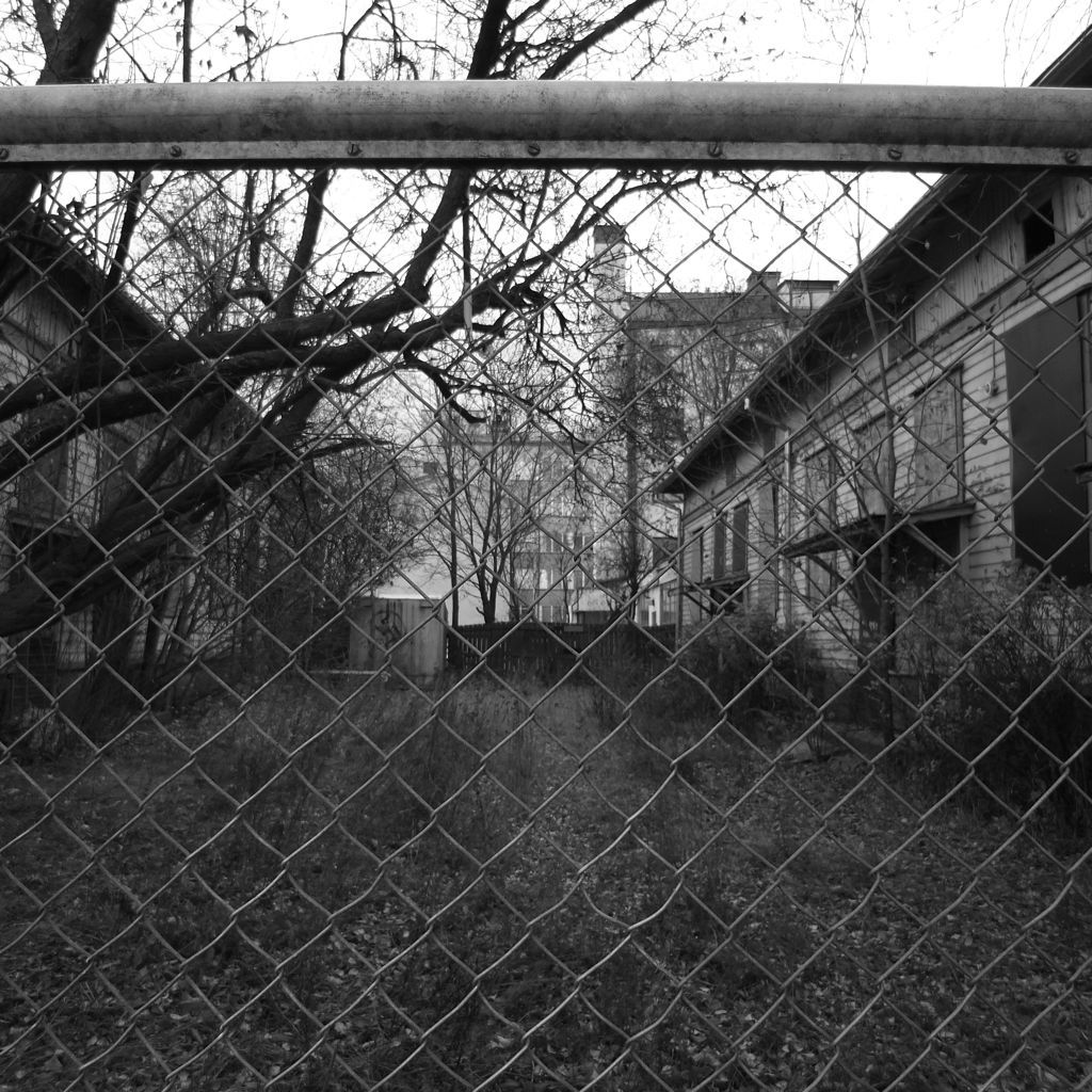Abandoned Yard