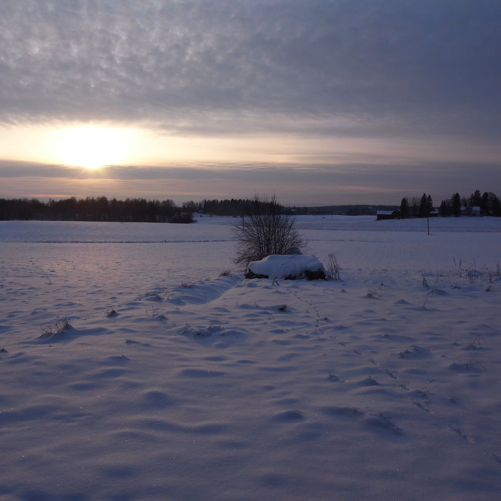 Beautiful Christmas Day
