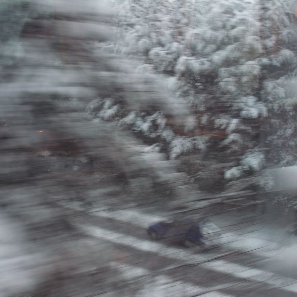Winter Wonders