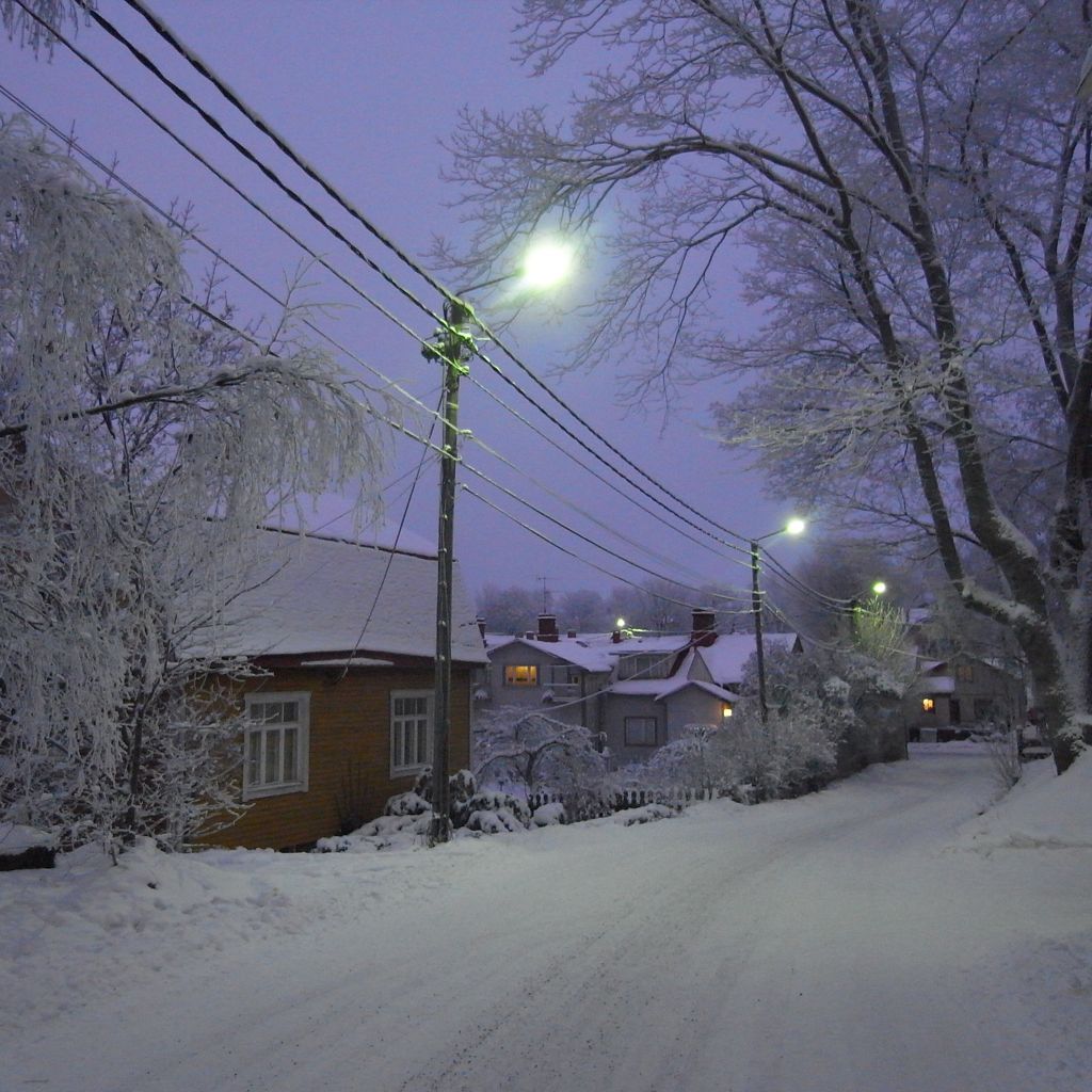 Snow Scene
