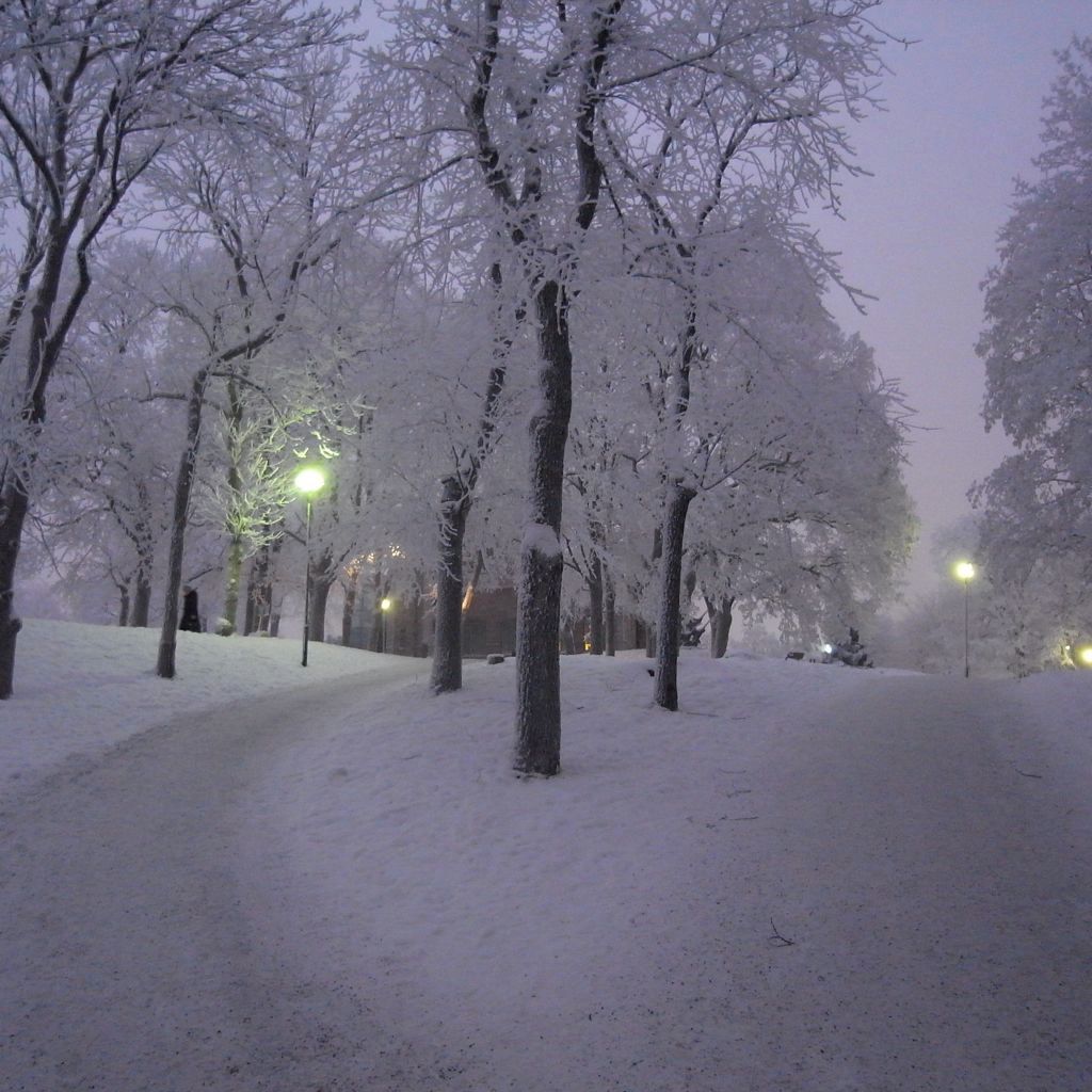 Snowy Park