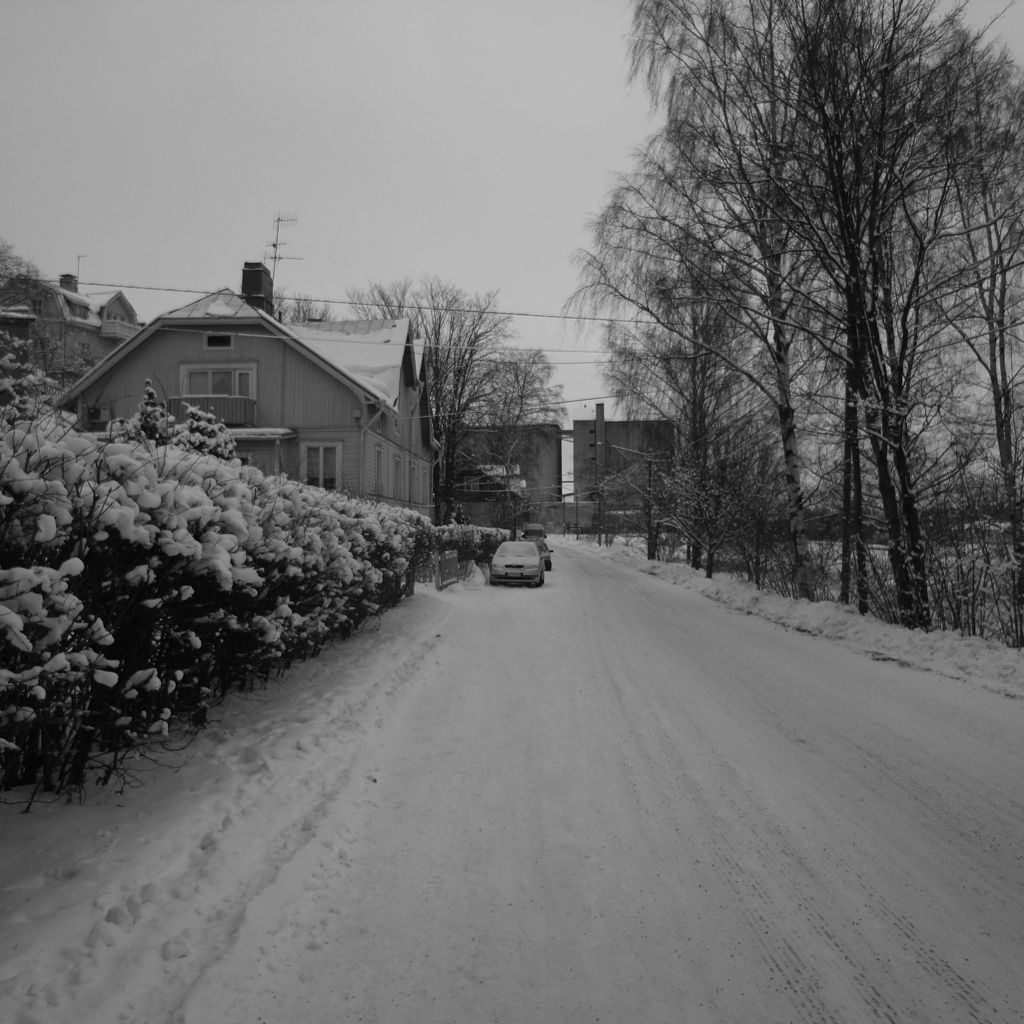 Winter in Raunistula
