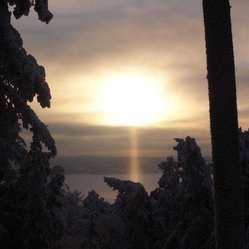 Winter Sun