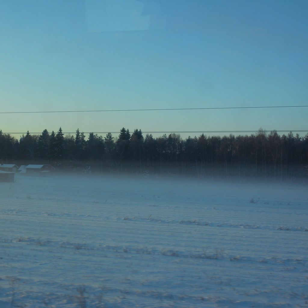 Winter Fields