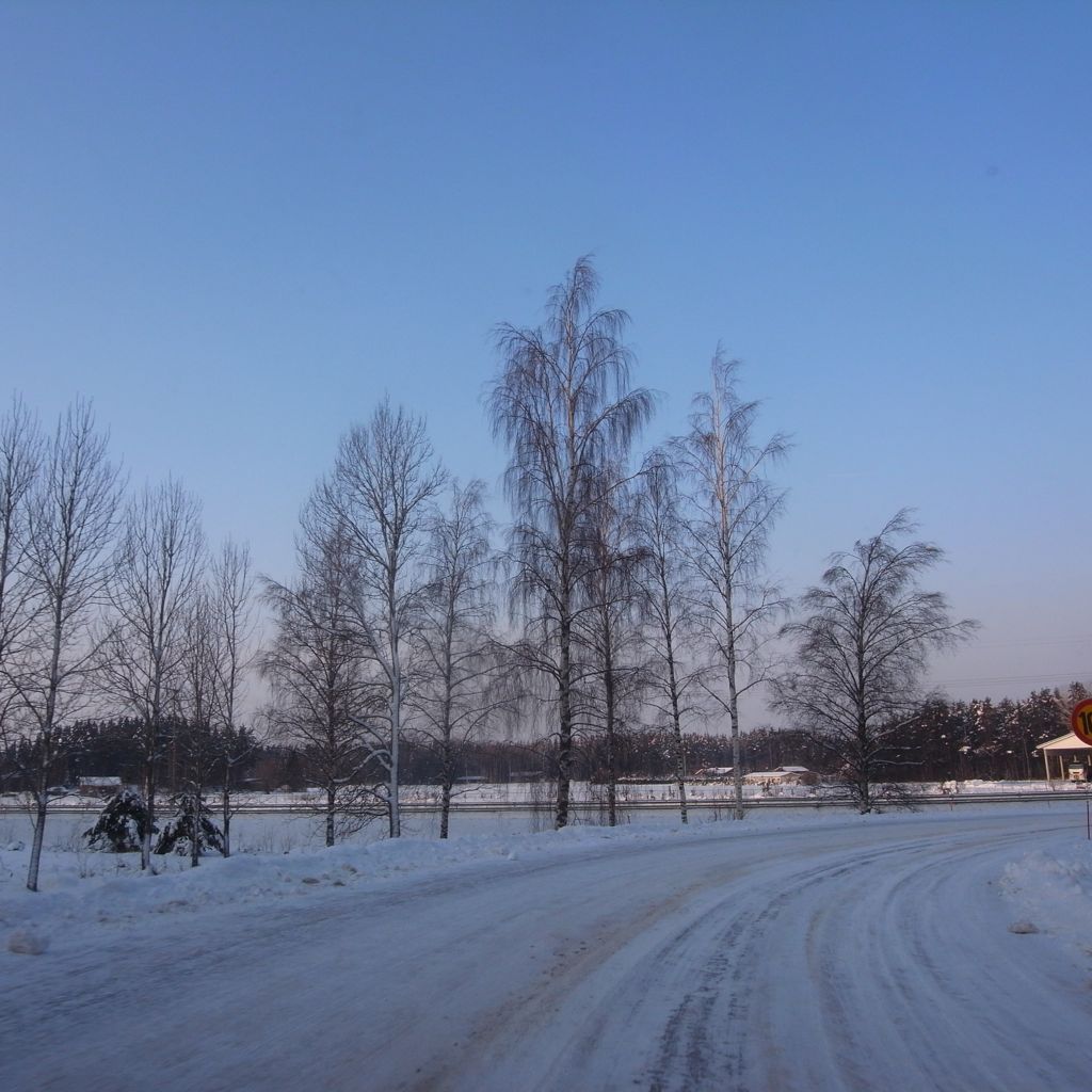 Winter Roads