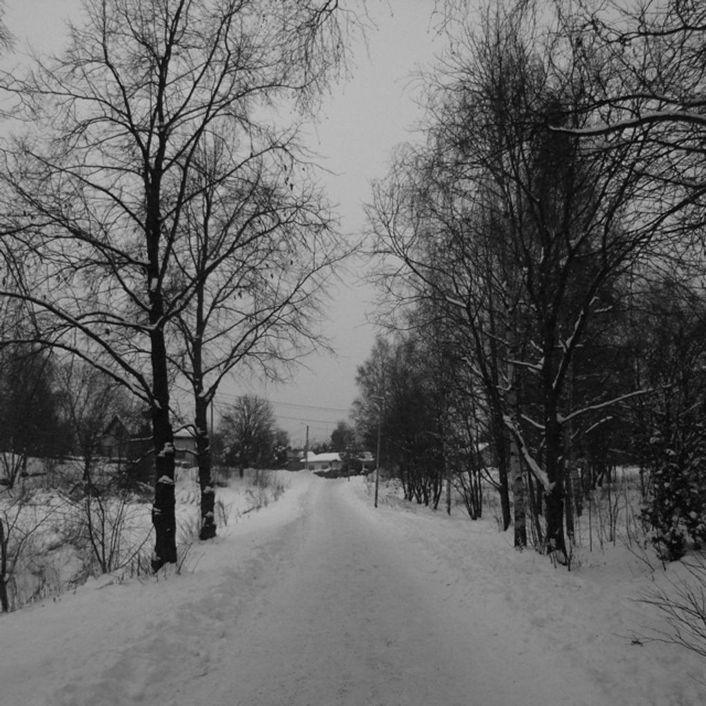 Gray Winter Day