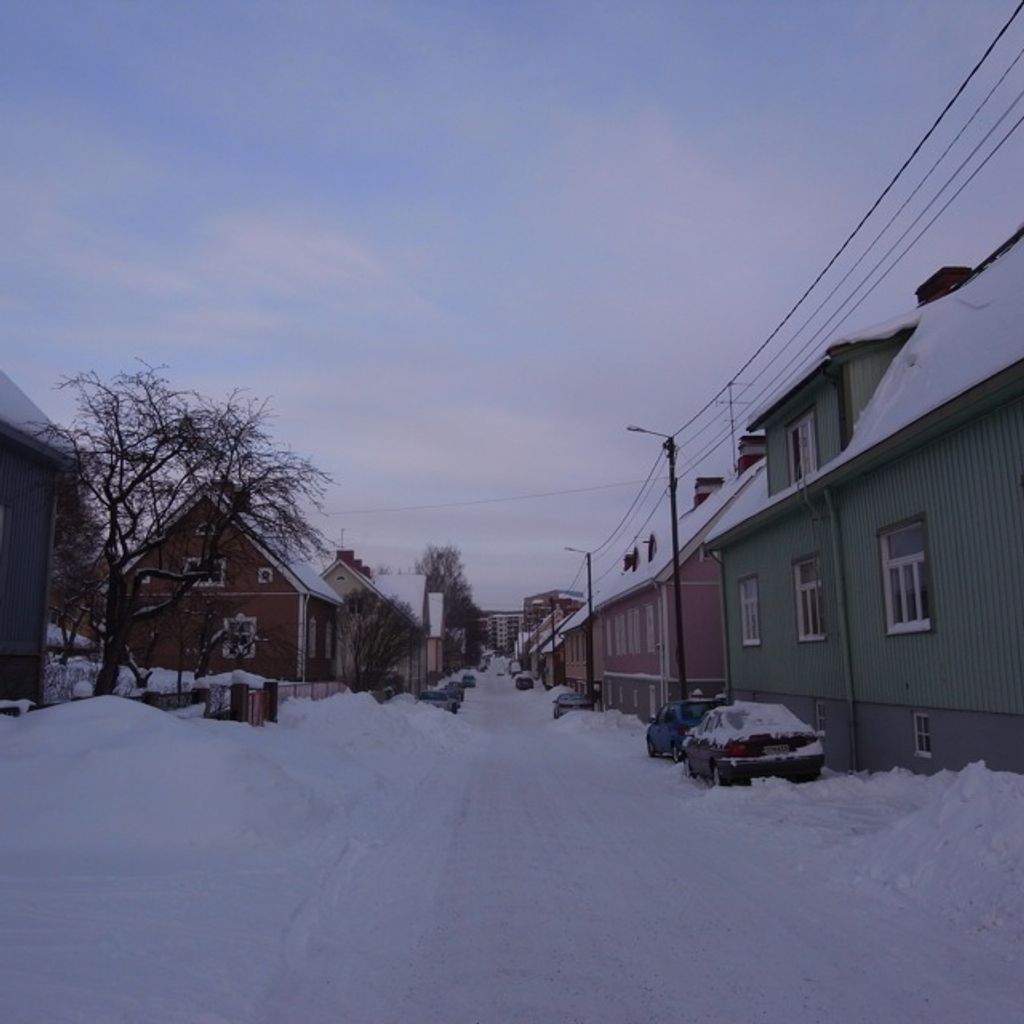 Houses in Pohjola