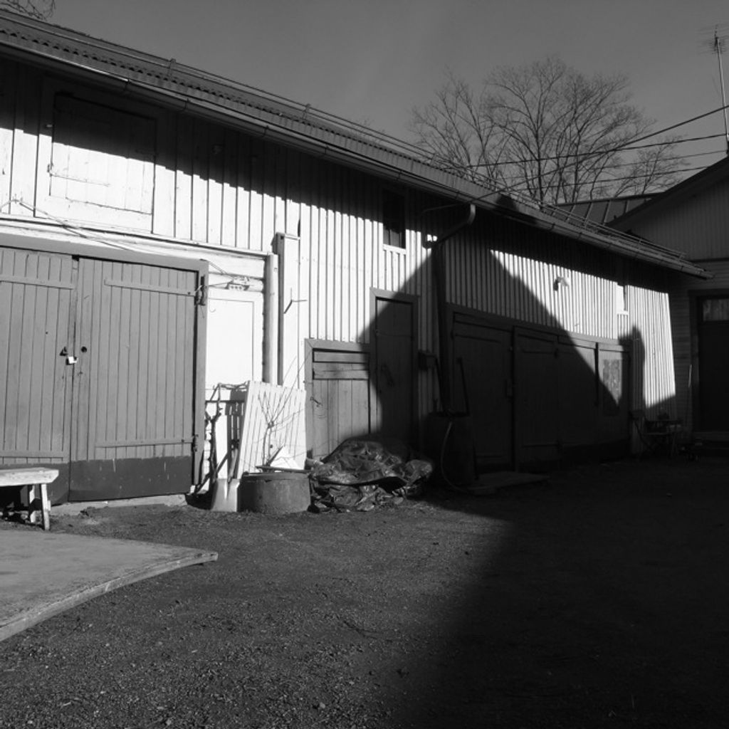 Shadows