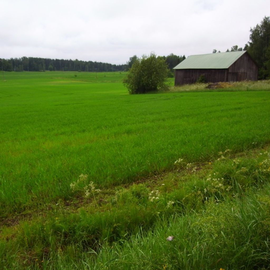 Countryside