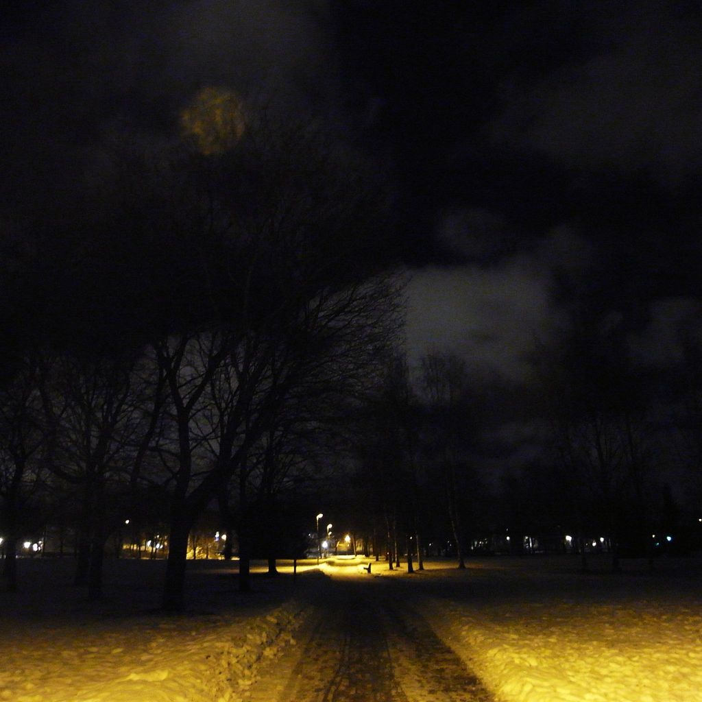 Dark Park