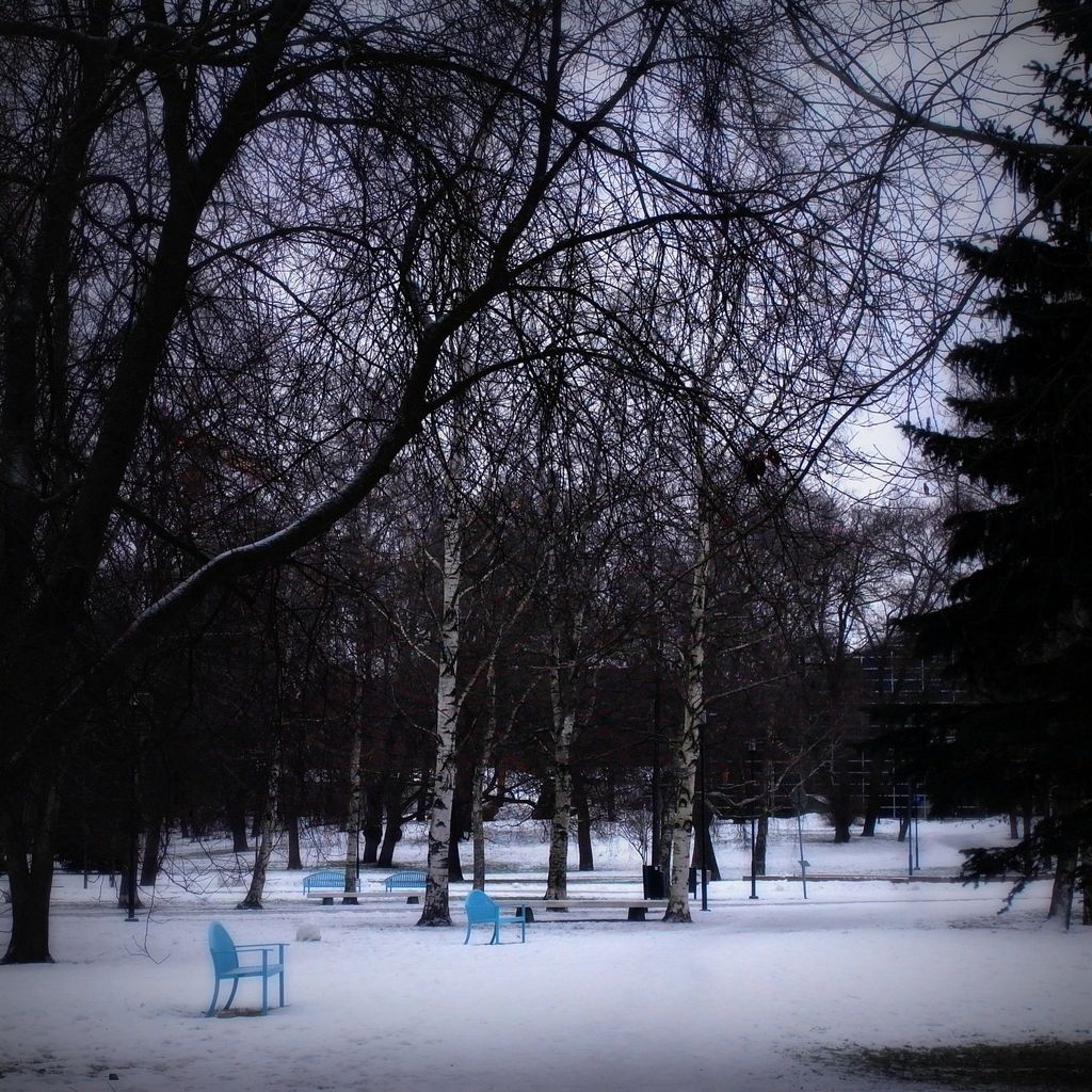 Kupittaanpuisto