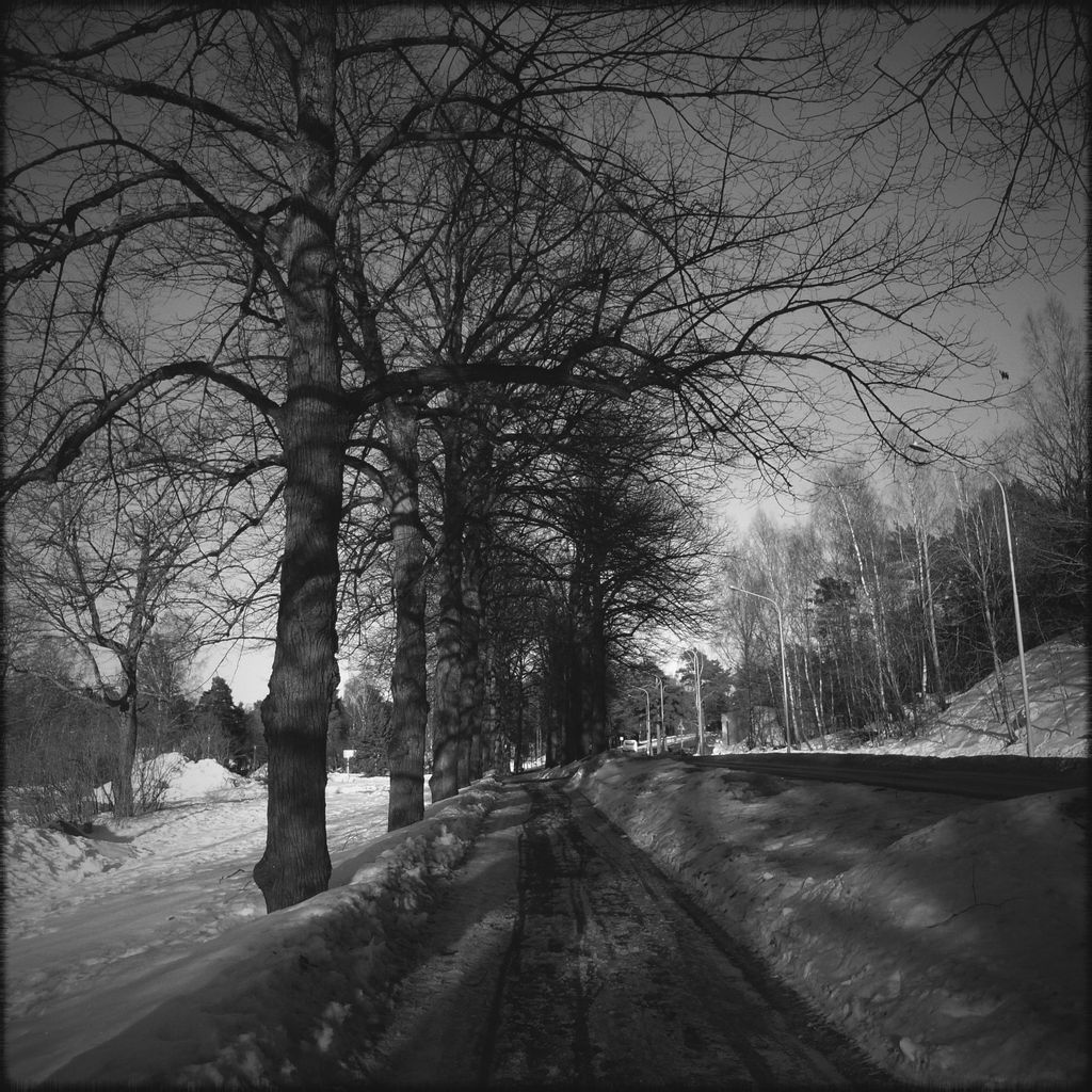 Winter