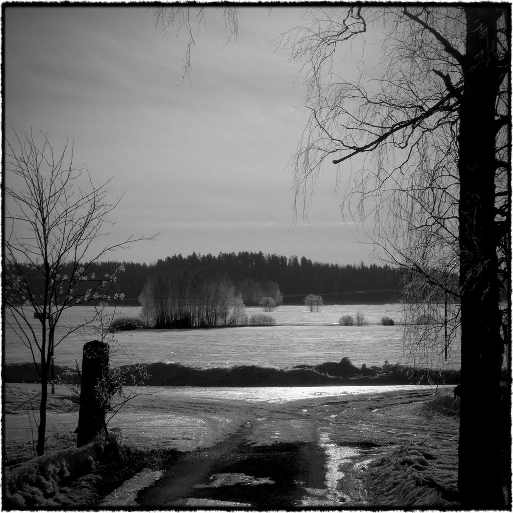 Bright Winter Day
