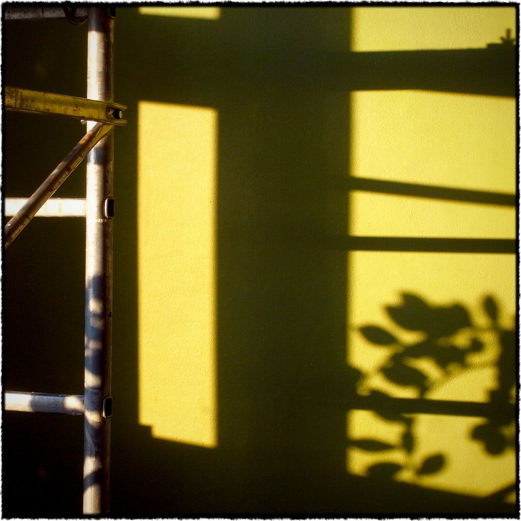 Shadows