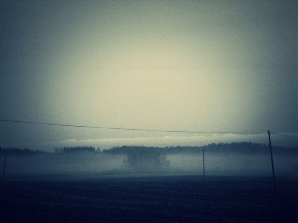 Foggy Fields