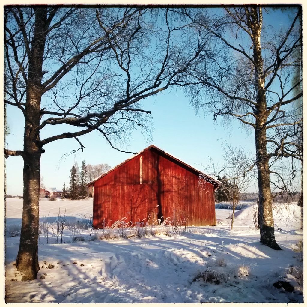 Barn