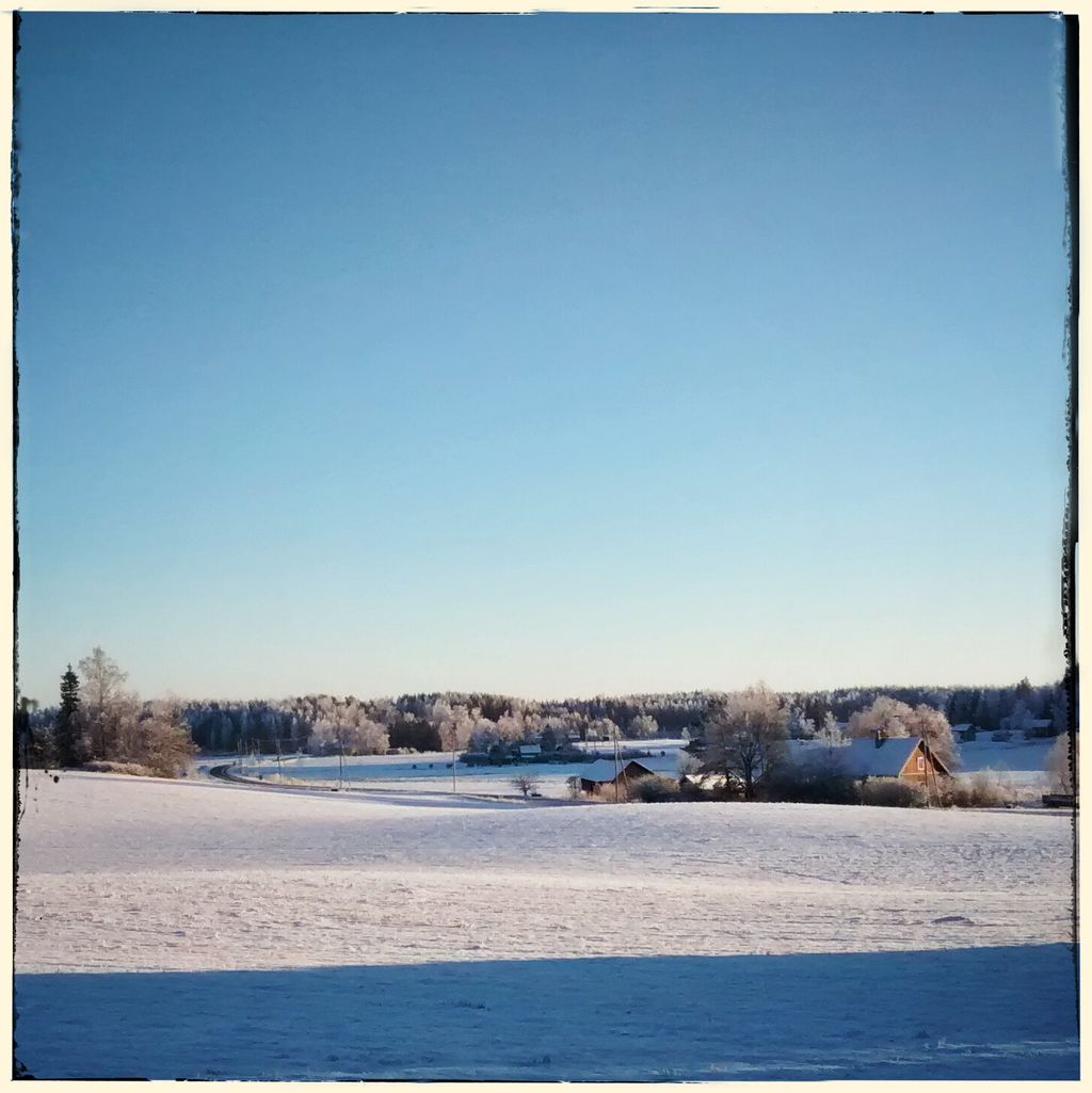 Fields