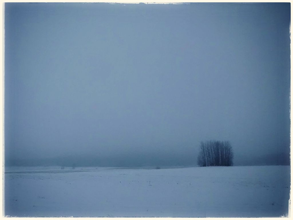 Foggy Winter Day