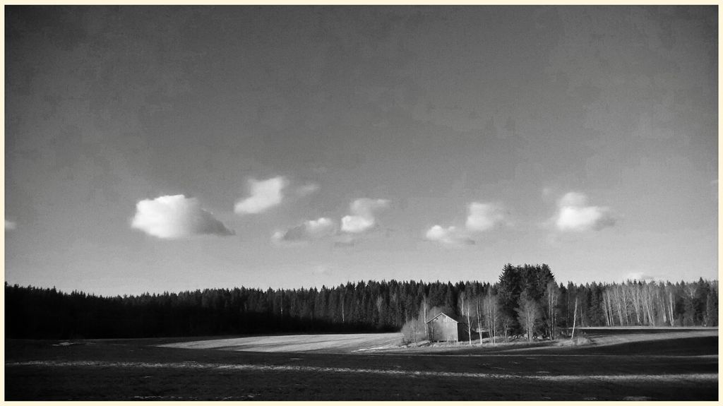 Fields