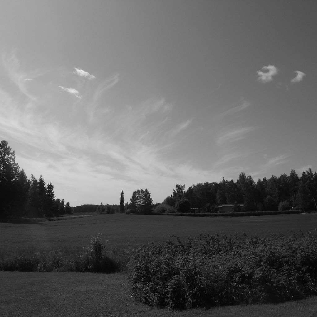 Fields