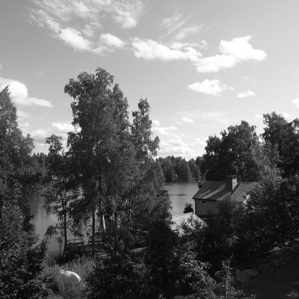 Summer Scenery