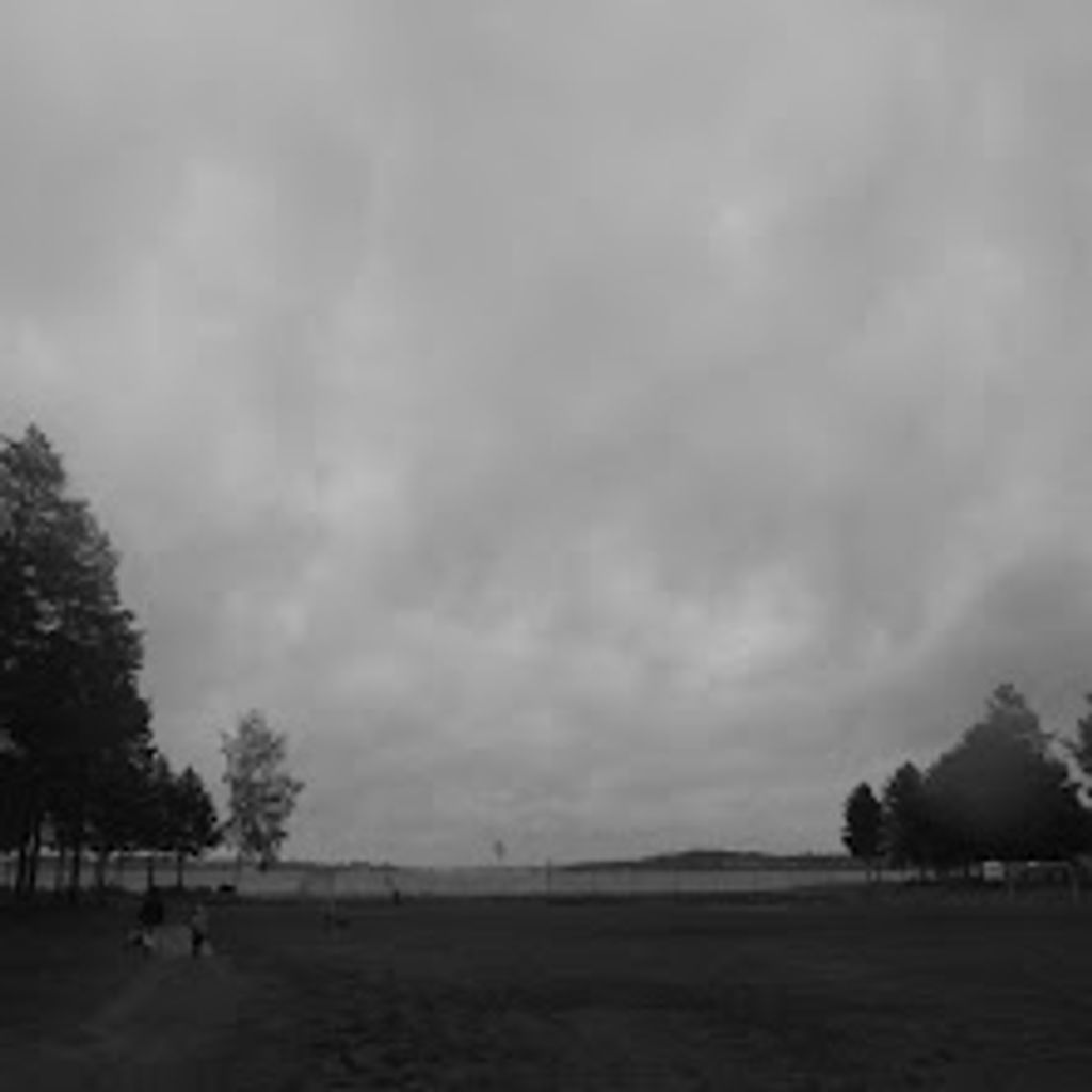 Rainy Day