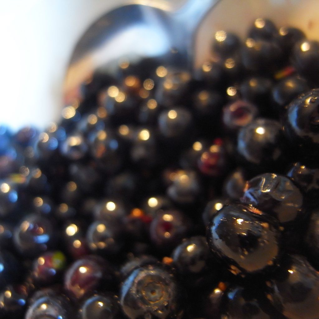 Blueberries
