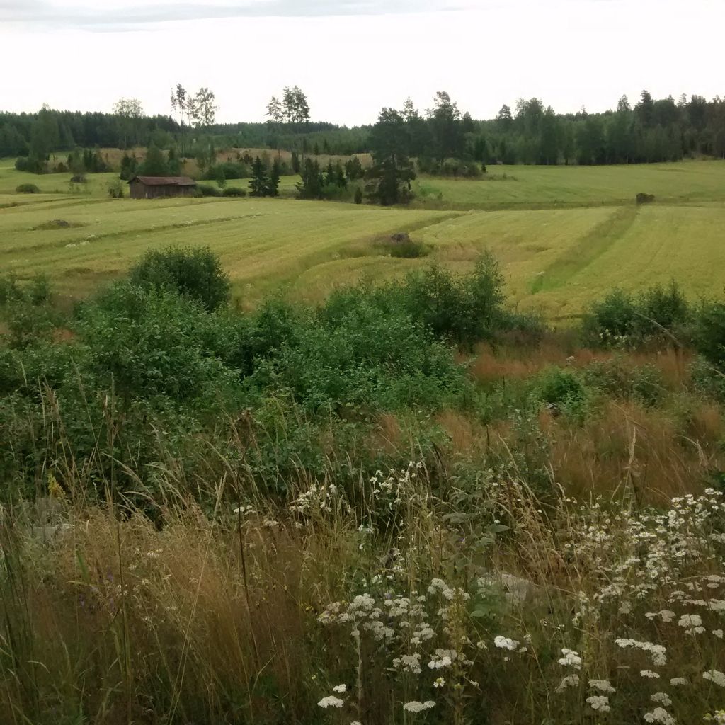 Barn and Fields