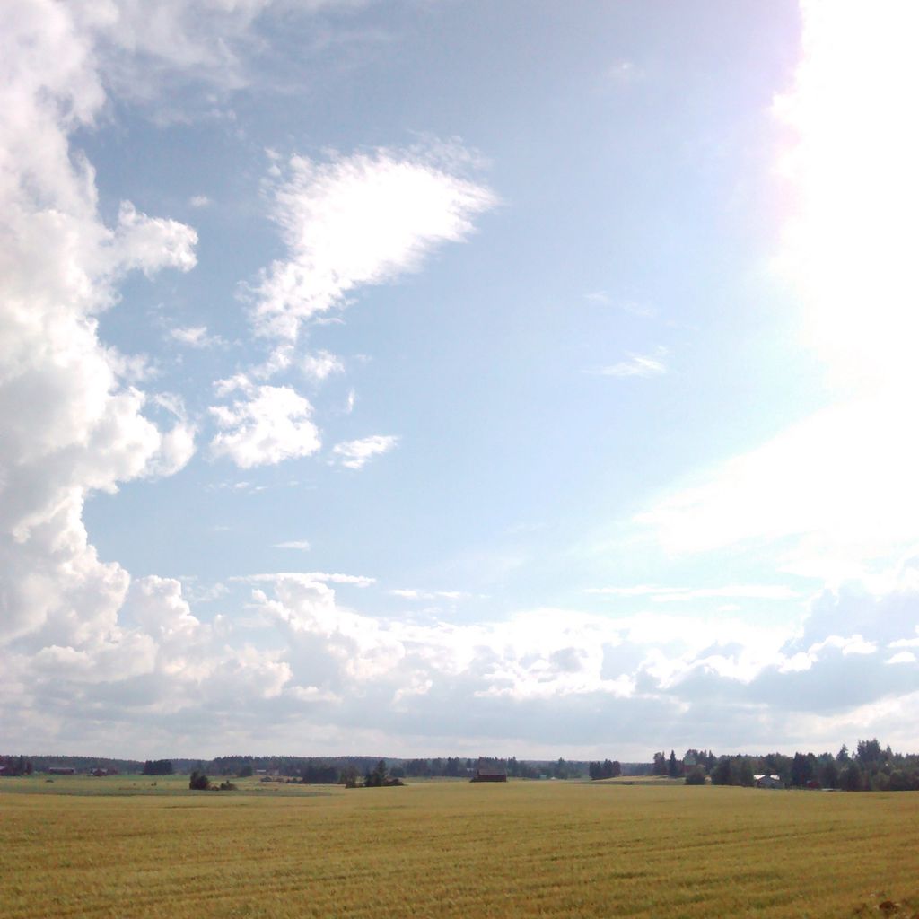 Fields, Again