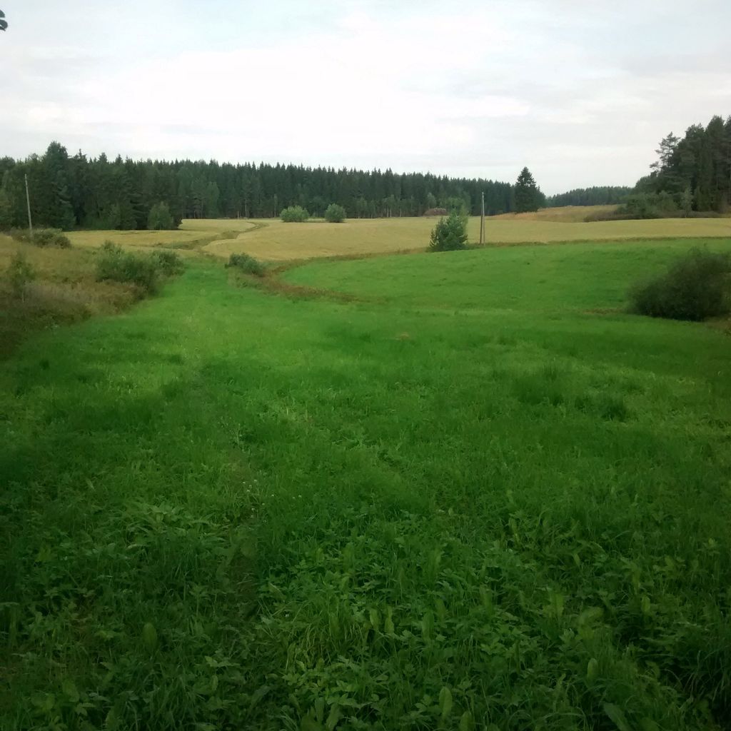 Biking