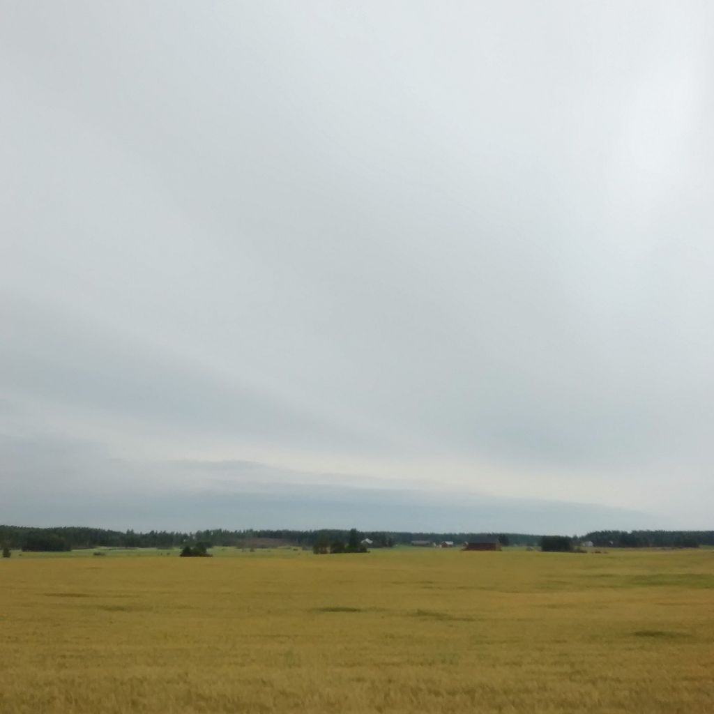 Fields