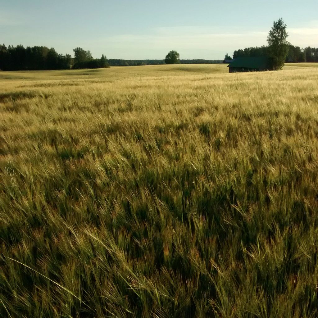 Fields