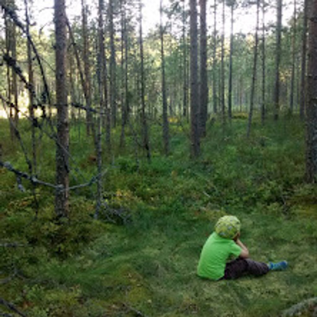 Forest