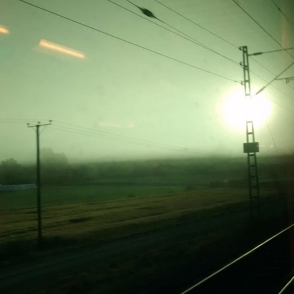 Foggy Morning