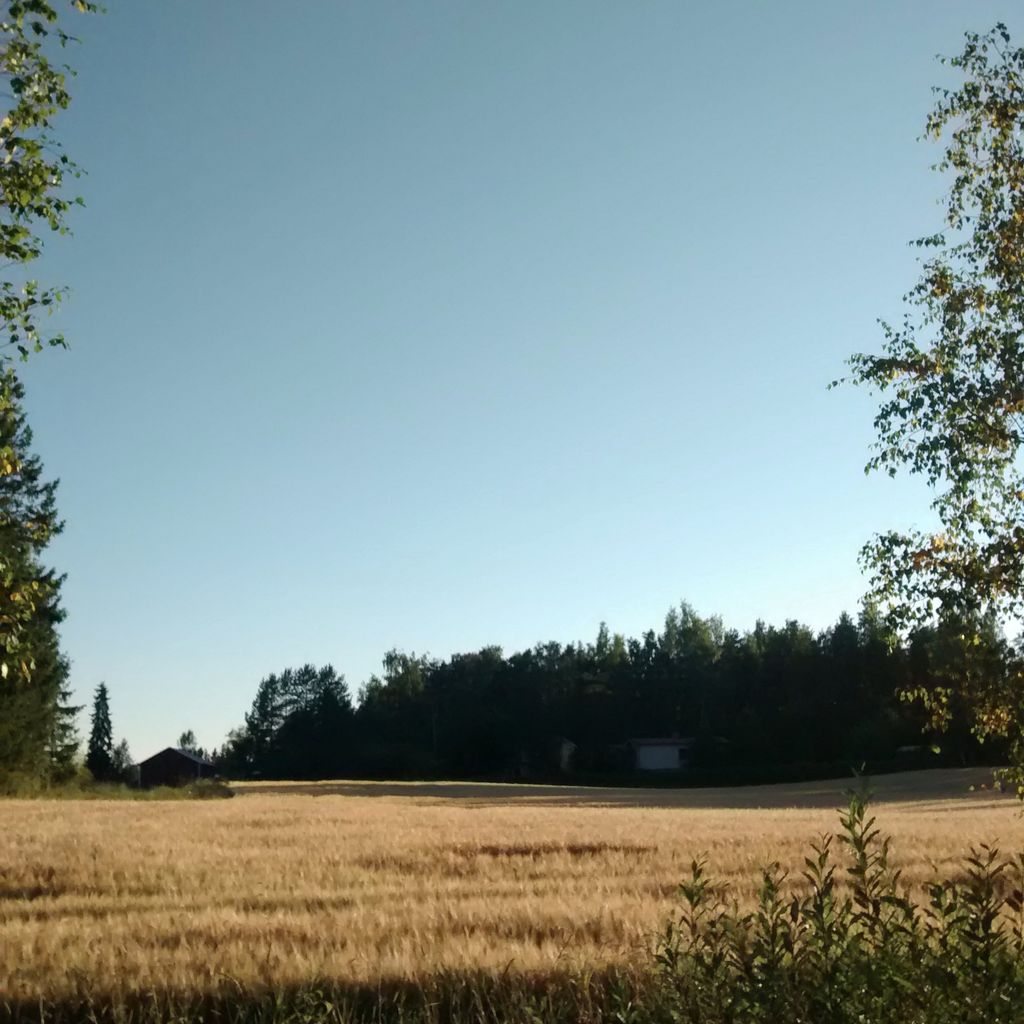 Fields