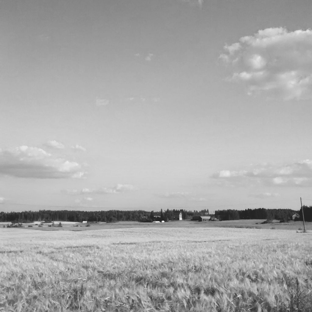 Fields and Clouds