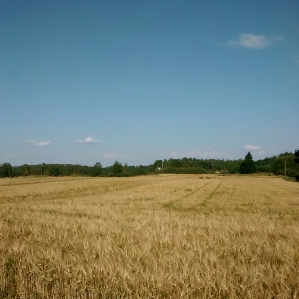 Fields