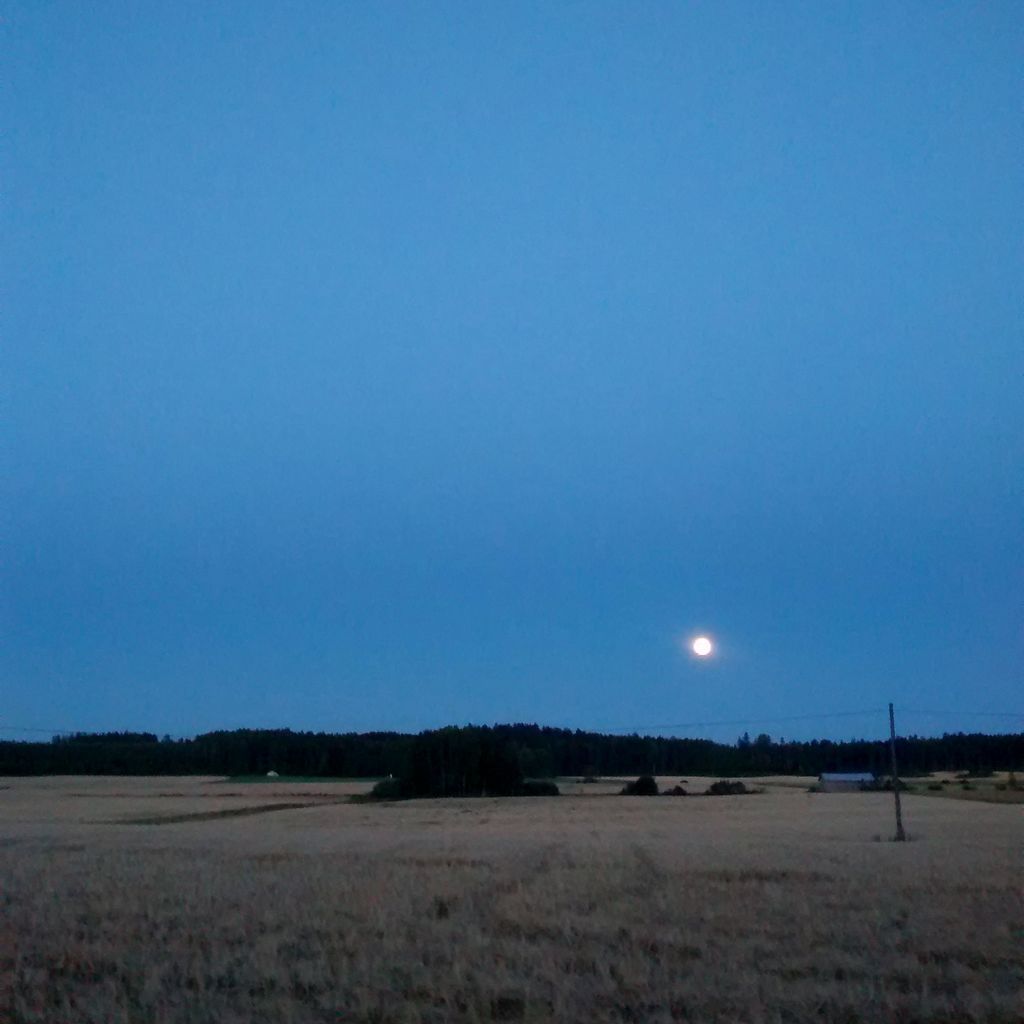 Moon