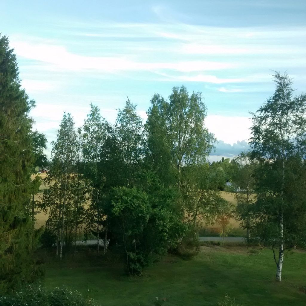 Trees, Clouds & Fields