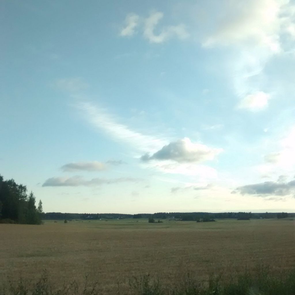 Fields