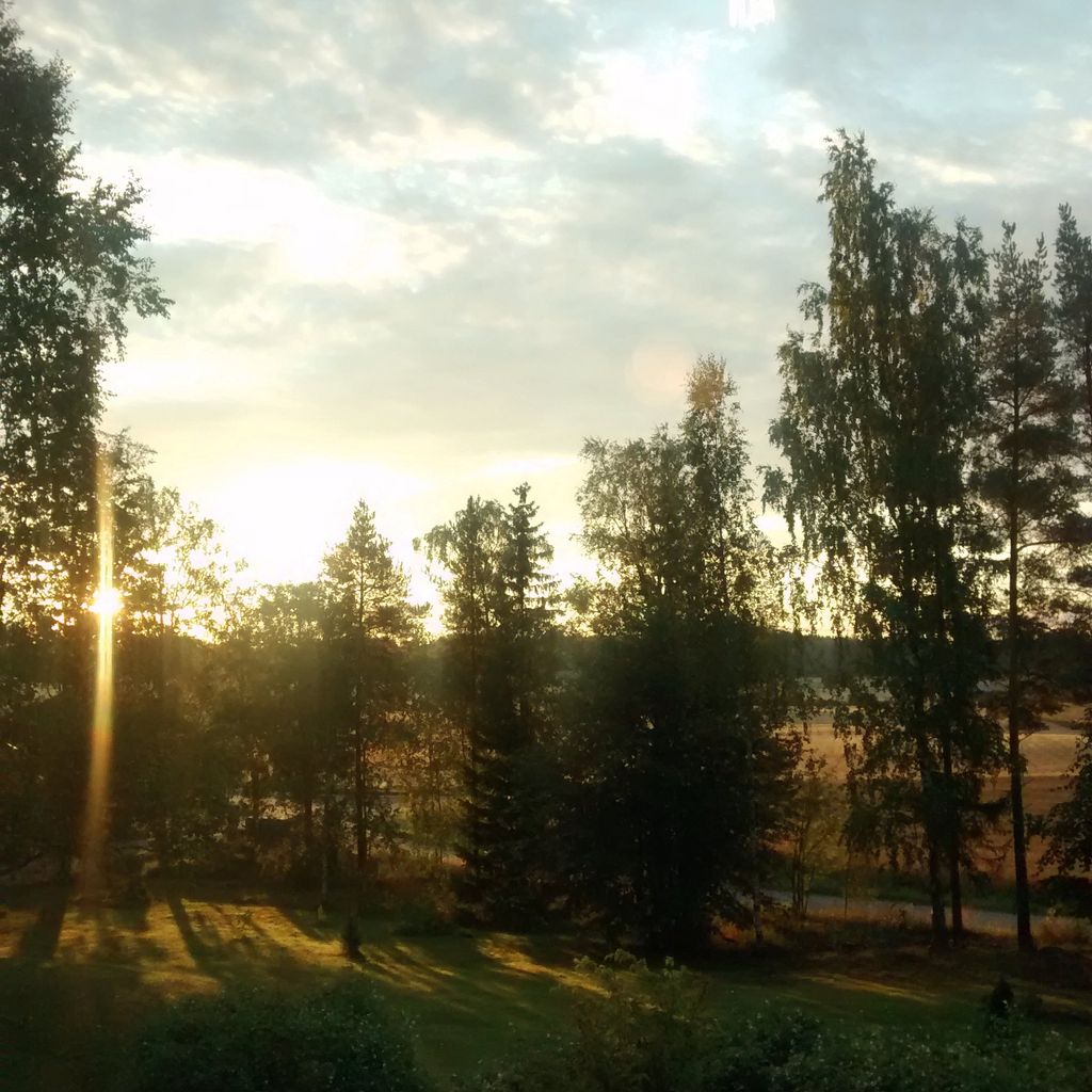 Sunrise